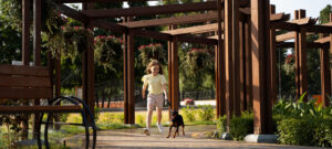 top reasons uk homeowners choose oak framed orangeries